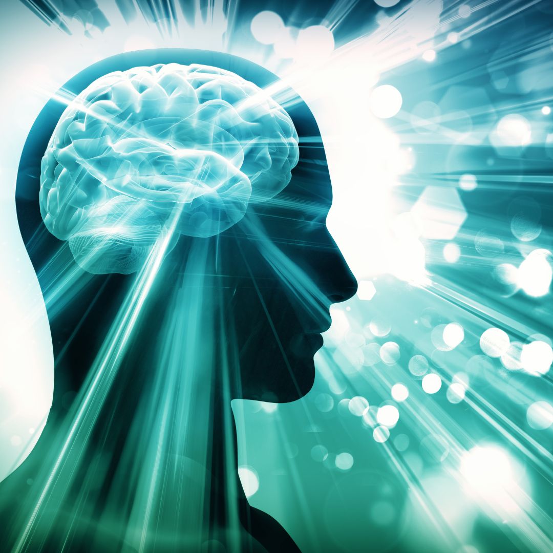 Así es tu cerebro cuando sonríes